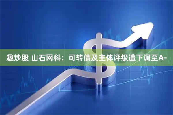 趣炒股 山石网科：可转债及主体评级遭下调至A-