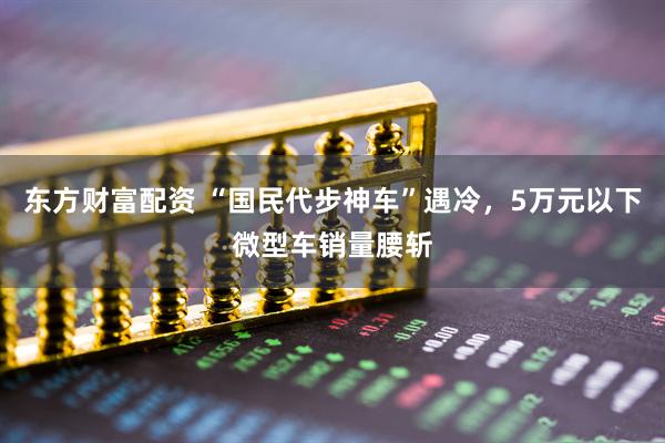 东方财富配资 “国民代步神车”遇冷，5万元以下微型车销量腰斩